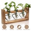 Plant Terrarium Propagation Station with 3 Heart Shaped Vases Wooden Stand Desktop Air Planter Bulb Glass Vase for Hydroponics Home Office Decor Gift