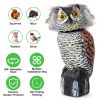 Lifelike Owl Decoy with 360 Degree Rotatable Head Scare Bird Squirrel Away Pest Repellent Bird Deterrent Outdoor Garden Yard Protector