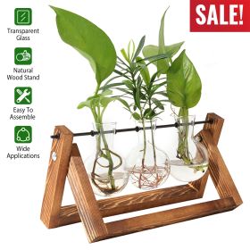 Desktop Glass Planter Bulb Plant Terrarium with Wooden Stand Air Planter Glass Vase Metal Swivel Plant Vase for Hydroponics